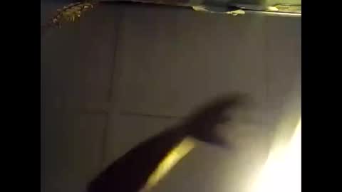 Warwick online show from 10/28/25, 07:34