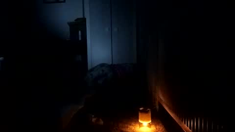 fufuihawa online show from 12/31/24, 08:02