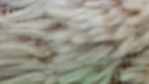 Snapshot of fullyfashionednylonlover chatting on 03/02/26, 11:06 fullyfashionednylonlover online show from 03/02/26, 11:06