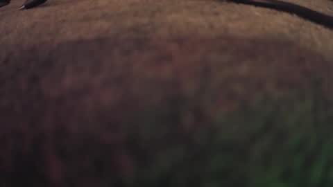 fumymo online show from 01/07/26, 08:22