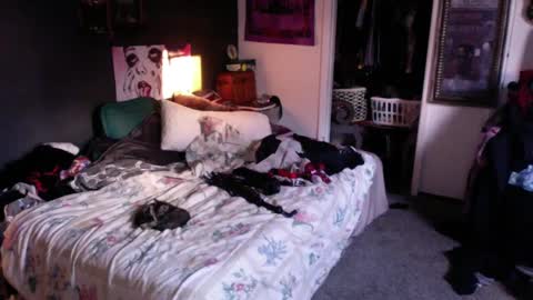 Snapshot of funmidwestman chatting on 09/17/25, 12:12 funmidwestman online show from 09/17/25, 12:12