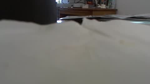 funone8848 online show from 01/13/25, 08:04