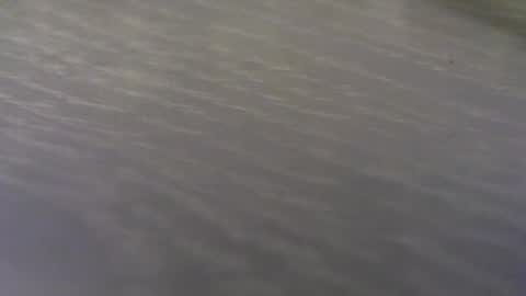 funone8848 online show from 09/24/25, 01:42