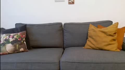 funservice online show from 12/17/24, 09:17