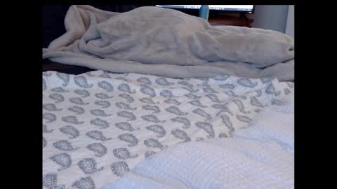 Snapshot of funtimz16 chatting on 02/13/25, 08:34 Funtimz16 online show from 02/13/25, 08:34