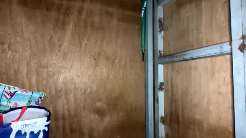 fvckingscarlet online show from 11/23/25, 12:10