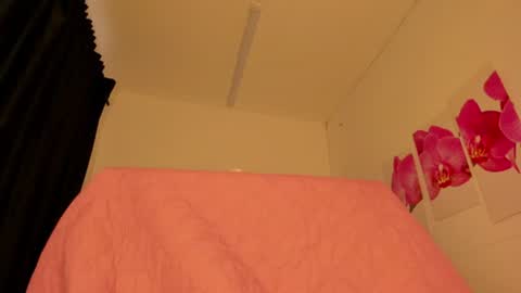 Snapshot of gabby_haze chatting on 07/25/26, 04:26 G A B R I E L A online show from 07/25/26, 04:26