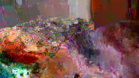 gaby  layla online show from 11/17/25, 10:04