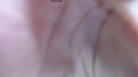 .  online show from 12/12/24, 05:31