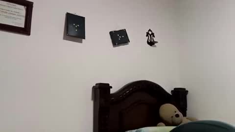 Snapshot of gadiel_sex chatting on 11/22/25, 07:35 gadiel_sex online show from 11/22/25, 07:35