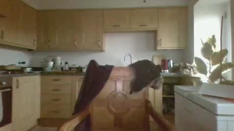 galacx online show from 02/21/25, 04:48