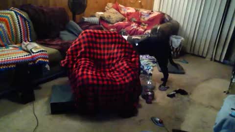 Snapshot of gamerfiend420 chatting on 10/17/25, 01:53 gamerfiend420 online show from 10/17/25, 01:53