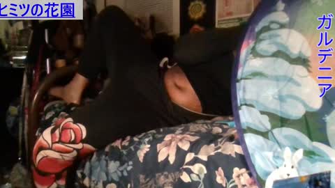 Gardenia online show from 12/15/24, 11:23