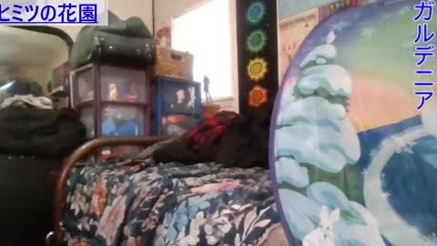 Gardenia online show from 01/08/25, 06:31