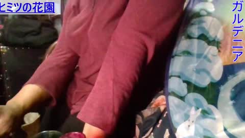 Gardenia online show from 01/09/25, 07:21