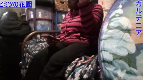 Gardenia online show from 01/10/25, 07:04