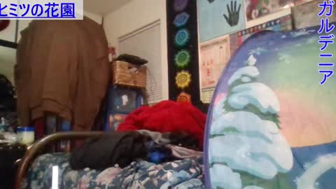 Gardenia online show from 01/21/25, 07:37