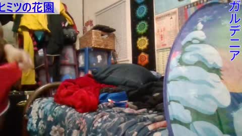 Gardenia online show from 01/24/25, 08:34