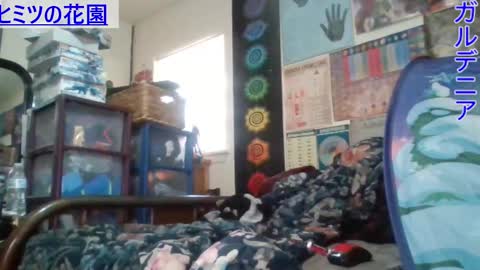 Gardenia online show from 02/26/25, 09:48