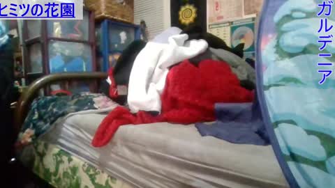 Gardenia online show from 03/01/25, 07:08