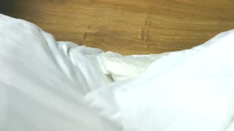 Rose online show from 02/07/26, 08:29