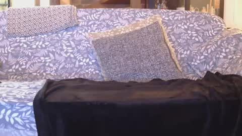 Gaz online show from 01/01/25, 08:47