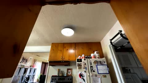 Snapshot of garypumpt chatting on 10/01/25, 04:02 marvin pumpt online show from 10/01/25, 04:02