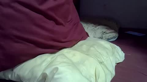 Snapshot of gasielah chatting on 02/02/26, 07:45 gasielah online show from 02/02/26, 07:45