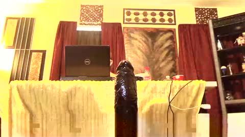 gatewaylaptop2019 online show from 03/02/25, 03:37