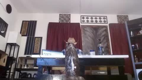 gatewaylaptop2019 online show from 04/09/26, 06:19