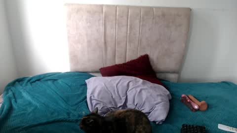 Snapshot of gatita13333321 chatting on 04/13/26, 05:18 gatita13333321 online show from 04/13/26, 05:18