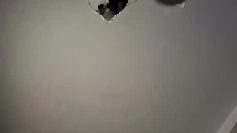 gazg1984 online show from 01/14/25, 12:33