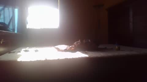 Snapshot of gem_in_your_eye69 chatting on 05/02/26, 12:26 g3m in eye 69 online show from 05/02/26, 12:26