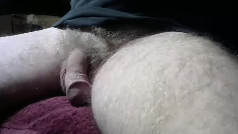 gemini_2 online show from 02/09/25, 06:54