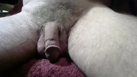 gemini_2 online show from 03/03/26, 09:31