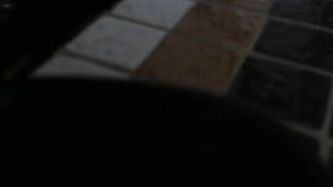 Snapshot of gene4 chatting on 12/31/24, 07:29 gene online show from 12/31/24, 07:29