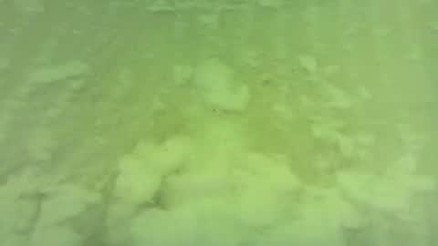 georgempt online show from 06/15/26, 05:42