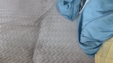 Melissa online show from 02/17/26, 11:29