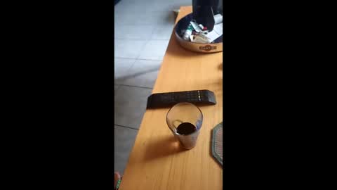 gergokertesz online show from 12/24/24, 12:55