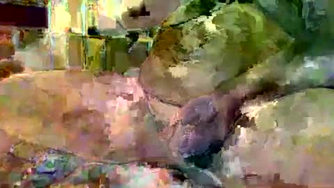 gergokertesz online show from 01/16/25, 03:02