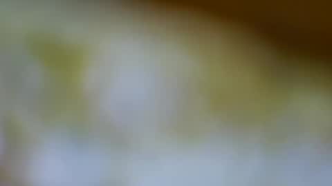 Snapshot of germanandy71 chatting on 11/17/25, 12:00 germanandy71 online show from 11/17/25, 12:00