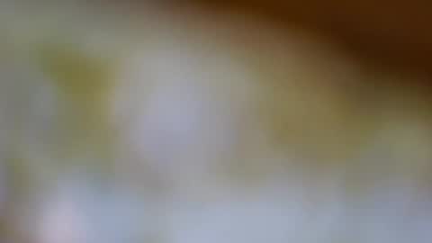 Snapshot of germanandy71 chatting on 11/20/25, 08:14 germanandy71 online show from 11/20/25, 08:14