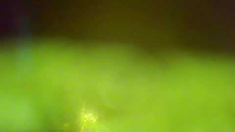 germanandy71 online show from 01/06/26, 06:50