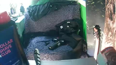 Snapshot of getfucked321jake chatting on 01/16/25, 12:31 getfucked321jake online show from 01/16/25, 12:31