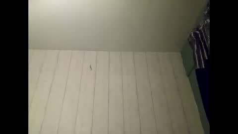 Darryl online show from 02/16/26, 01:13