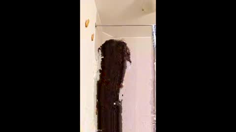 ggggu495826 online show from 02/10/26, 02:32