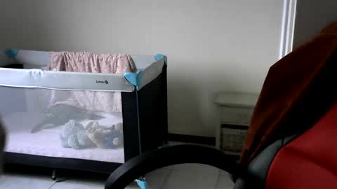 Gisse online show from 02/24/25, 07:55