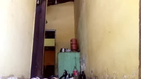 Gaby online show from 10/11/25, 02:15