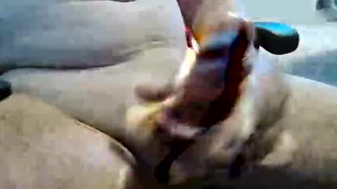 ghost1805 online show from 11/10/25, 11:26