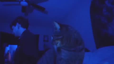 SrirachaSwitchblade  online show from 11/13/25, 08:57